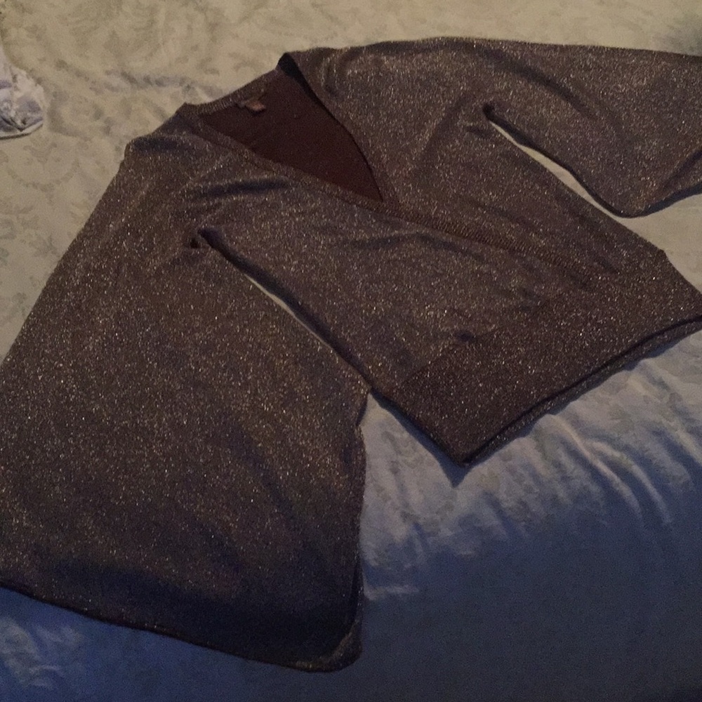 Metallic brown bat wing  sleeve sweater